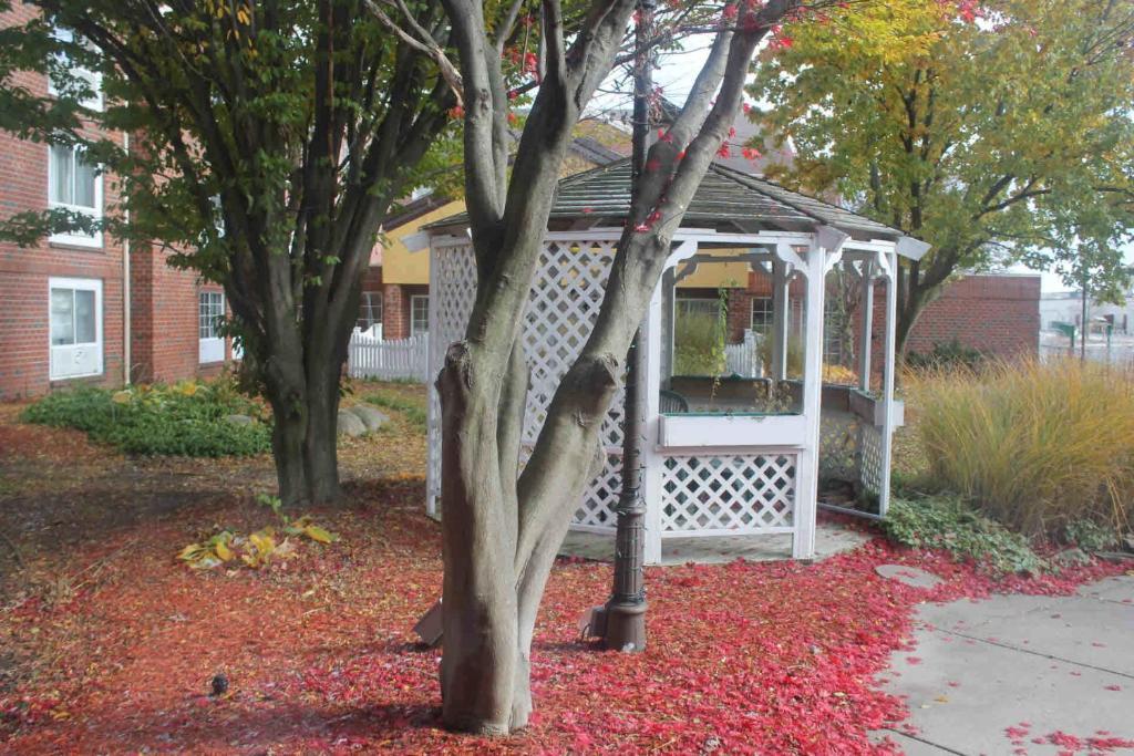 Hotel Wyndham Garden Grand Rapids Airport Exterior foto